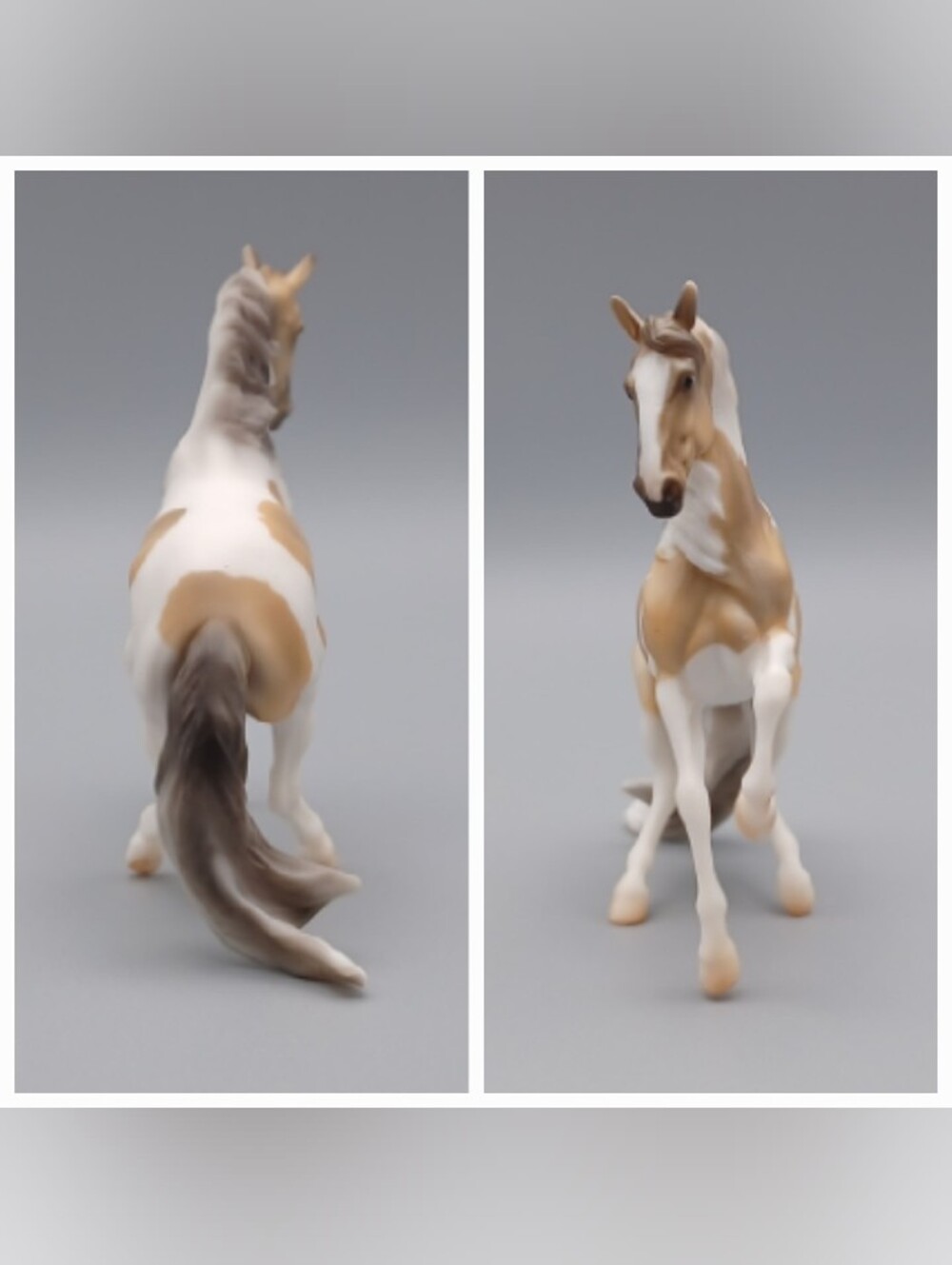 Breyer Spaetzle - Picture 13 of 16